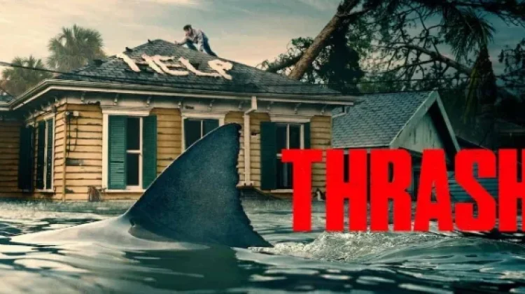 Film Thrash, Sajikan Teror Hiu saat Banjir