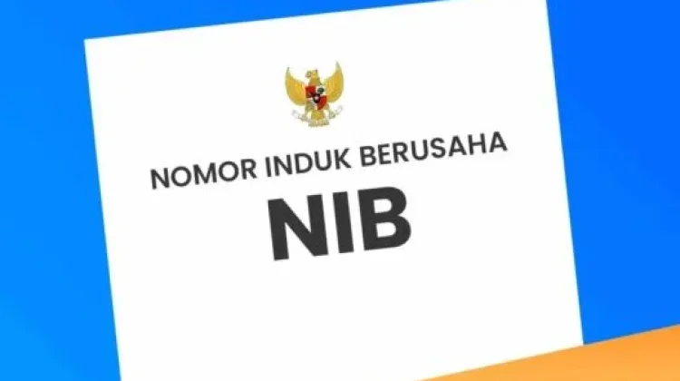 Sebanyak 22 ribu lebih UMKM di Bangka sudah Kantongi NIB