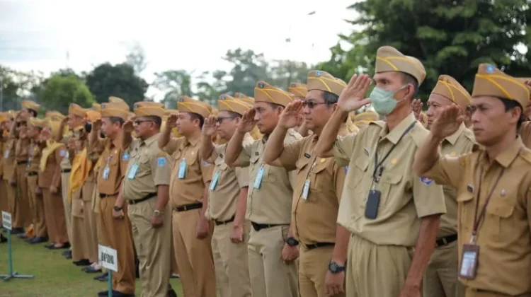 Otonomi Daerah, Instrumen Strategis Percepat Pembangunan
