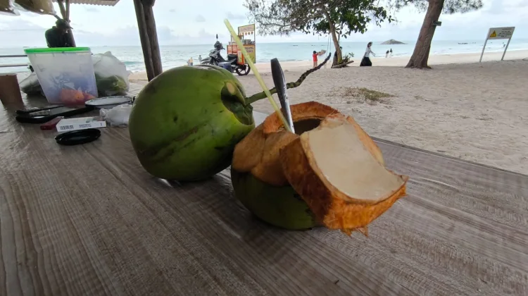 Kelapa Pandan, Minuman Segar Pelepas Dahaga