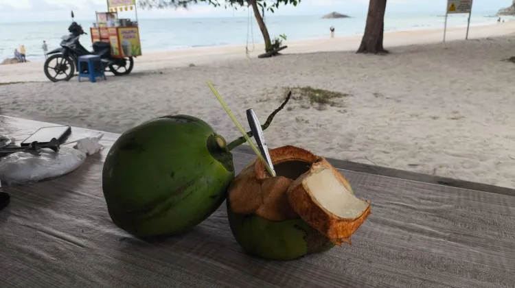 Manfaat Kelapa Pandan, Segar Sekaligus Menyehatkan