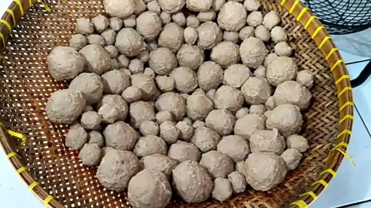 Tips Membuat Pentol Bakso Kenyal dan Padat