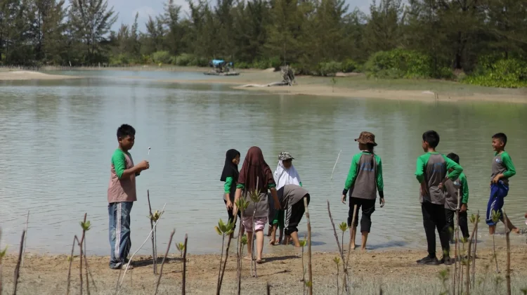 SDN 24 Sungailiat Edukasi Murid Tanam Mangrove