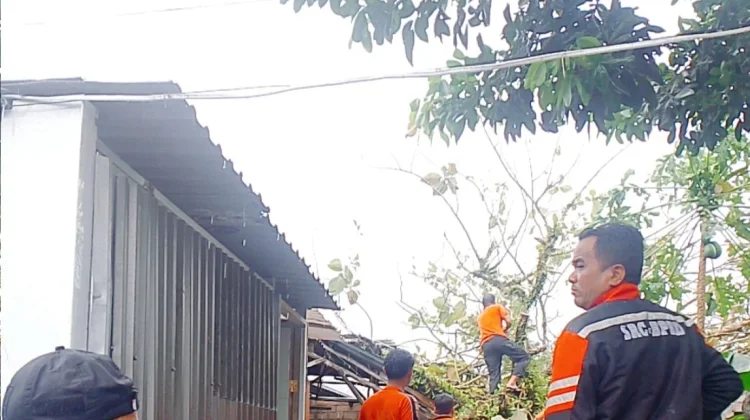 BPBD Pangkalpinang Imbau Warga Waspada Angin Kencang dan Puting Beliung