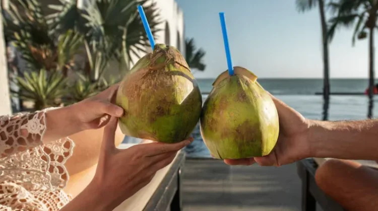 Aneka Campuran untuk Minum Air Kelapa Muda