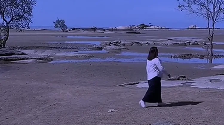 Pesona Alami Pantai Telapak Antu