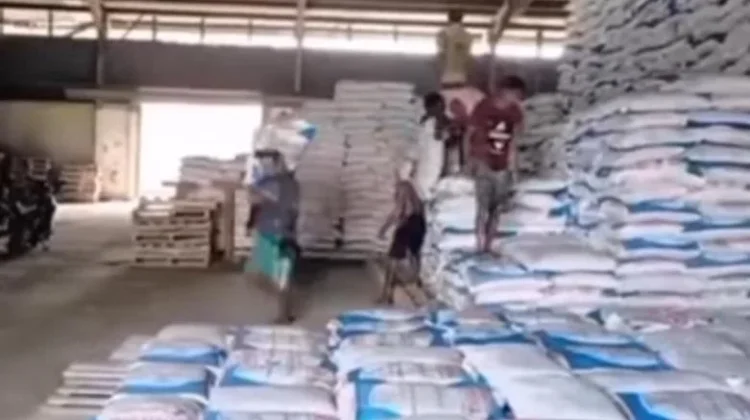 Petani Bangka Sambut Pemangkasan Harga Pupuk Subsidi