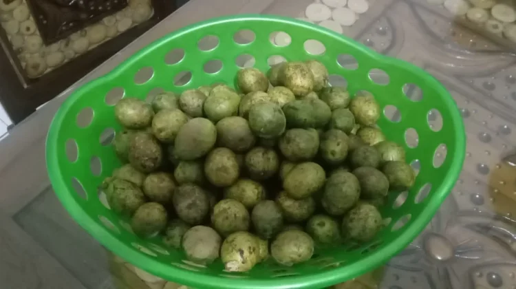 Matoa, Buah Segar yang Diminati Konsumen di Pangkalpinang