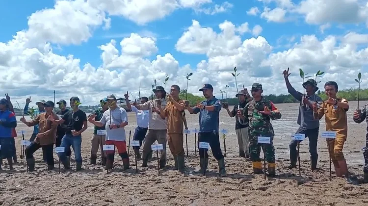 Tanam Mangrove di Desa Juru Seberang, Perkuat Benteng Alami Tanjungpandan