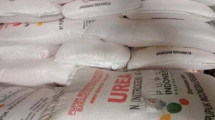 Harga Pupuk Nonsubsidi Kian Memberatkan Petani