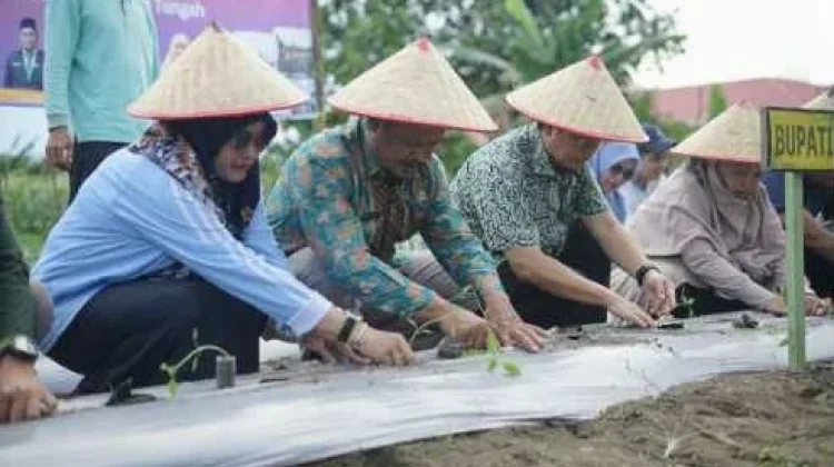 Bangka tengah Lucurkan Program GERTAM Holtikultura