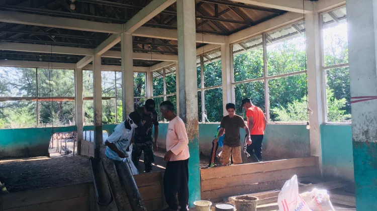Koperasi Desa Merah Putih di Harapkan Bantu Pemasaran Hasil Bebek Petelur