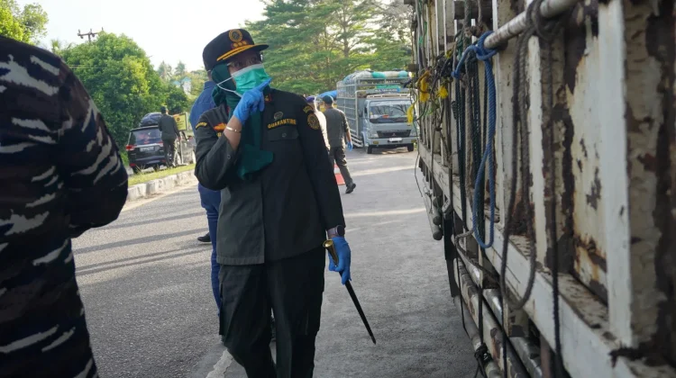 Pengawasan Hewan Kurban Diperketat jelang Iduladha