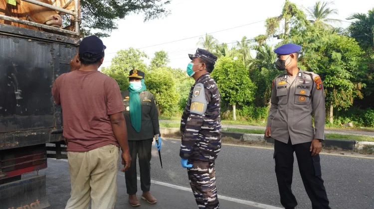 Pemasukan Hewan Kurban ke Babel Naik 86 Persen