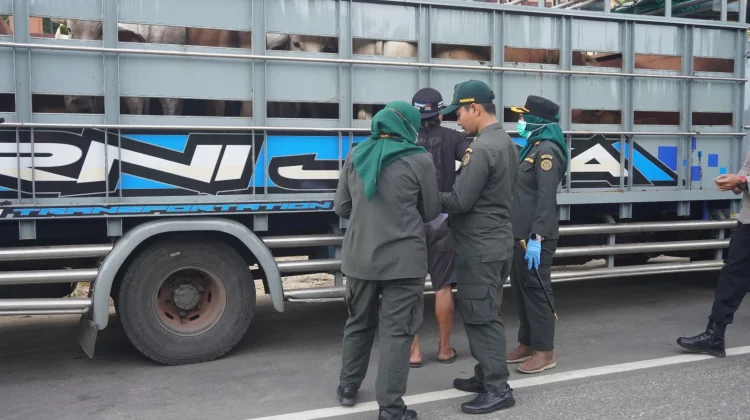 Pedagang Hewan Kurban Wajib Lengkapi Sertifikat Kesehatan