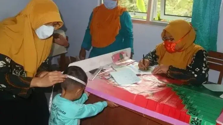 Sudah Integrasi Layanan Primer, Posyandu di Bangka Miliki Kader Wilayah