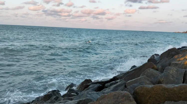 Dari Garam Laut Jadi Produk Perawatan Kulit, Inovasi Ekonomi Sirkular di Bangka