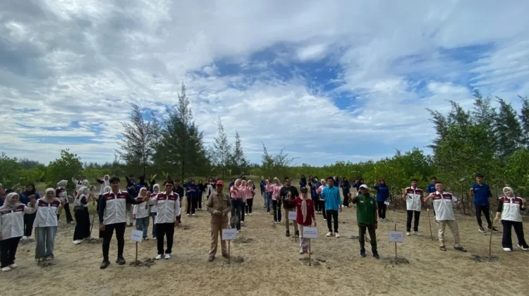 Milad Pertama Himamuba Pertiba Diisi Aksi Tanam Mangrove