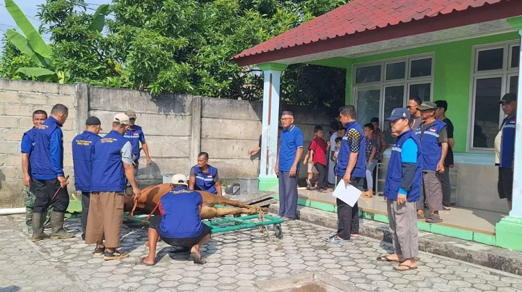 Pahami Syarat Penyembelihan Kurban agar Ibadah Sah Sempurna