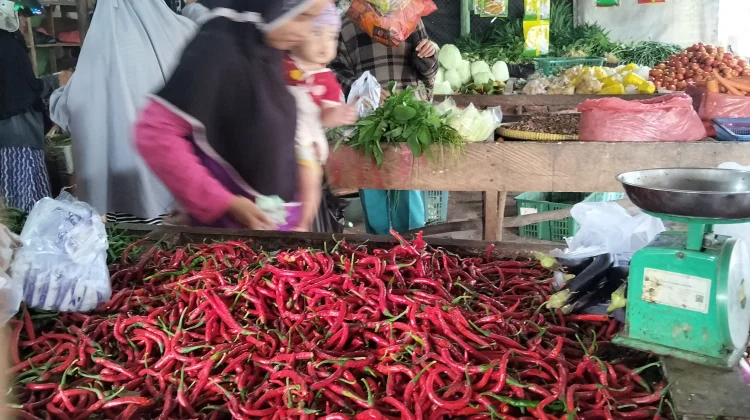 Harga Bahan Pokok di Takengon: Stabilitas Dominan, Beberapa Komoditi Fluktuatif