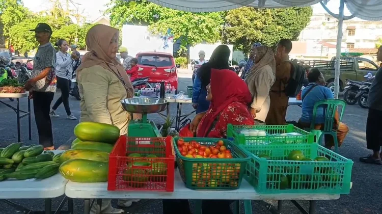 DKPP Belitung Rencanakan GPM jelang Hari Jadi Kota Tanjungpandan