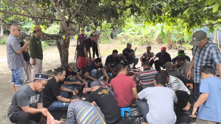 IKM Bangka akan Potong Empat Ekor Sapi Kurban