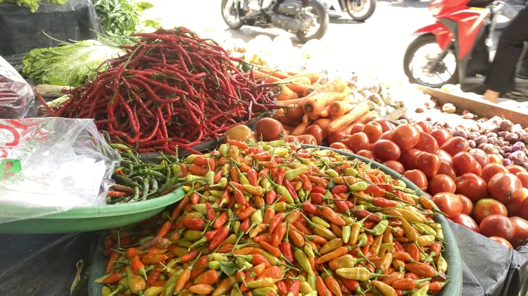 Jelang Iduladha, Harga Cabai hingga Saledri di Pangkalpinang Meroket