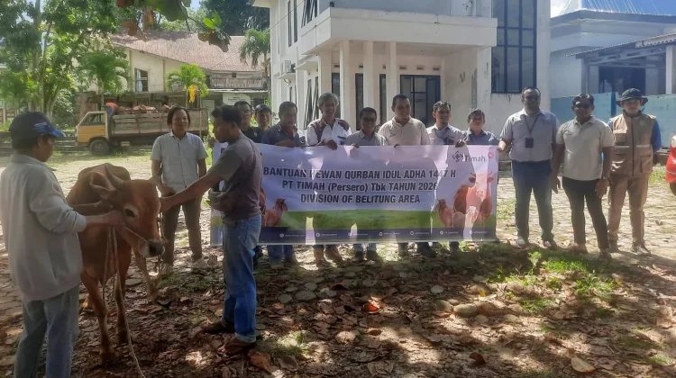 PT Timah Kembali Salurkan Sapi Kurban ke Pokja Wartawan
