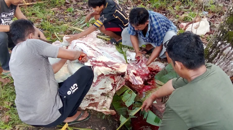 DLH Bangka Siap Angkut Sampah Kurban