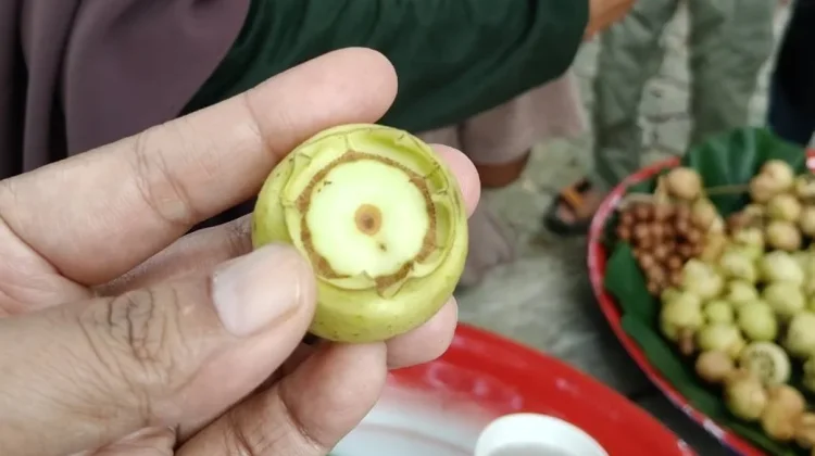 Kelangkaan Buah Malik Jadi Perhatian Warga Bangka Belitung
