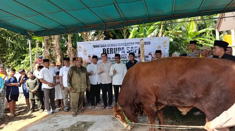Bupati Beltim Serahkan Sapi Kurban Presiden RI ke Masjid Al-Fallah Desa Senyubuk