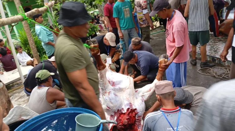 Surau At-Ta’awun Sri Menanti Sembelih Empat Sapi dan Tiga Kambing Kurban