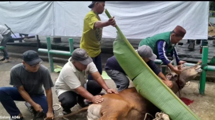 Solidaritas Kemanusiaan dalam Perayaan Iduladha