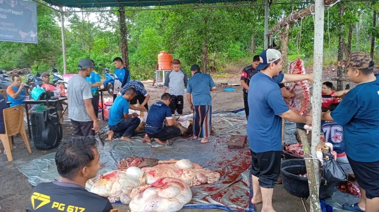 Yayasan Bahrul Ulum Sungailiat Kurban 4 Sapi dan 14 Kambing