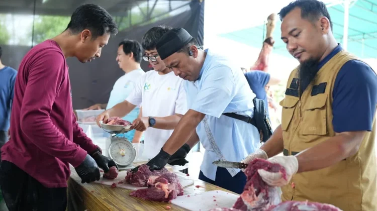 PLN Babel Salurkan Ribuan Paket Daging Kurban