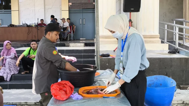 Dinpanpertan Bangka Rampung Periksa Kesehatan Hewan Kurban