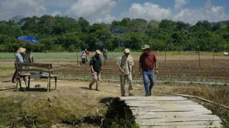 Desa Lubuk Pabrik Lokasi Pengembangan Cabai & Bawang Merah