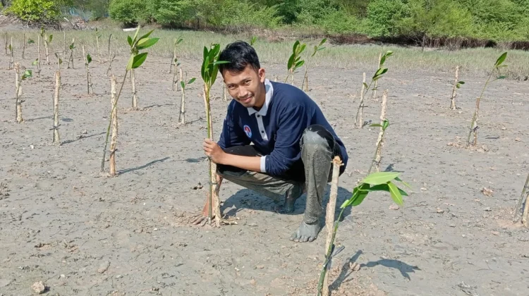 RPPEM Bangka Belitung Jadi Pedoman Pengelolaan Mangrove