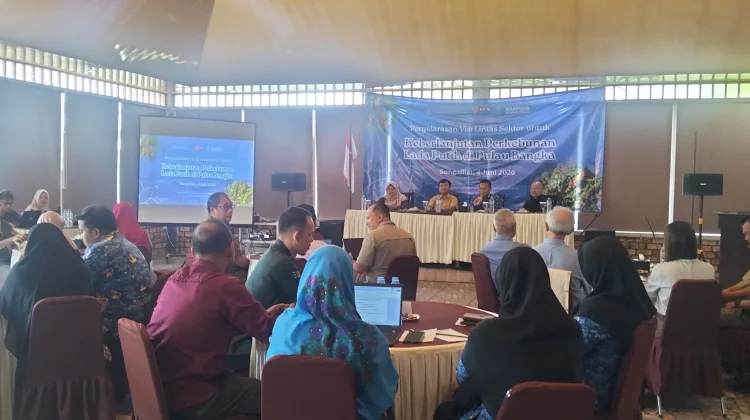 Pemkab Bangka Perkuat Strategi Keberlanjutan Lada Putih