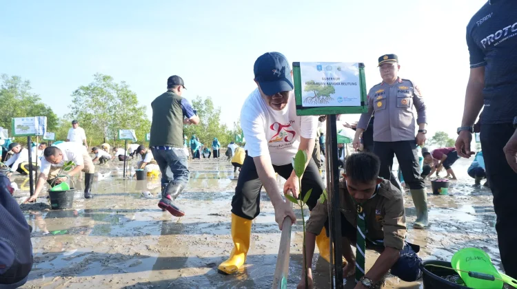 Pemprov Babel Tanam Ribuan Bibit Mangrove