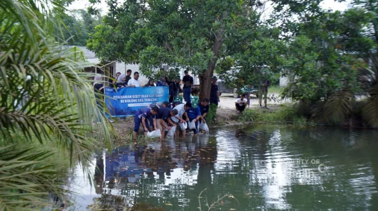 Antisipasi Lonjakan Malaria, DLHK Babel Bakal Kaji Kolong Eks Tambang