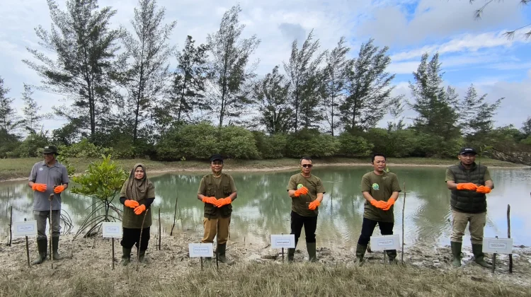 Penanaman 500 Mangrove Memperingati Hari Lingkungan Hidup