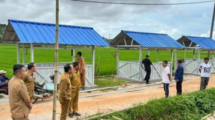 Bupati Bangka Tengah Tinjau Pembangunan Lapak UMKM di Persawahan Desa Namang