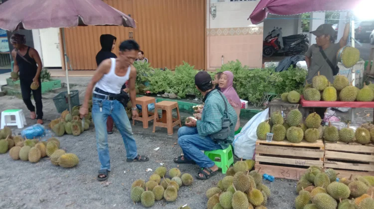 Puncak Musim Durian di Bangka Dua Pekan Lagi