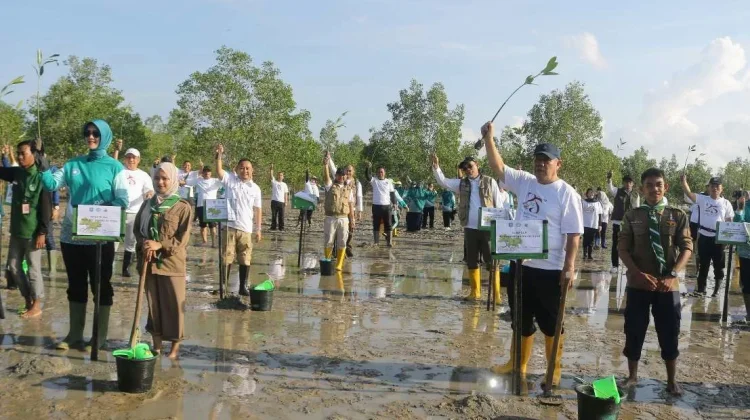 Hari Lingkungan Hidup Sedunia, 1.000 Bibit Mangrove Ditanam di Pantai Baskara Bakti