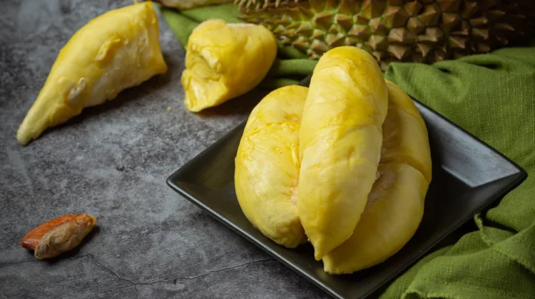 Durian Tembaga, Jenis Durian yang Banyak Diminati