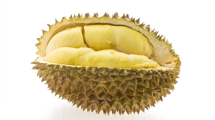 Tips Menghilangkan Bau Durian setelah Mengonsumsinya