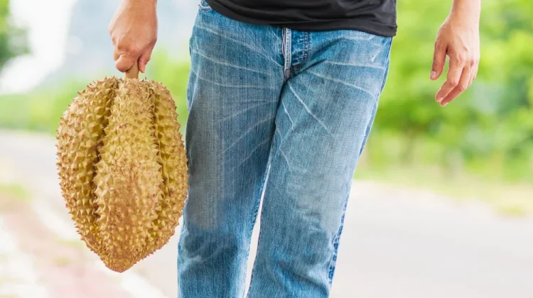 Kenali Ciri-Ciri Buah Durian yang Bagus sebelum Membeli