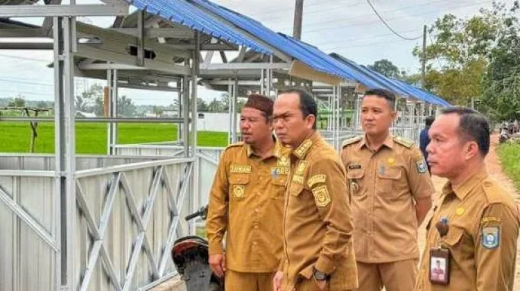 Objek Wisata Pelangi Sawah Namang Terus Dipercantik