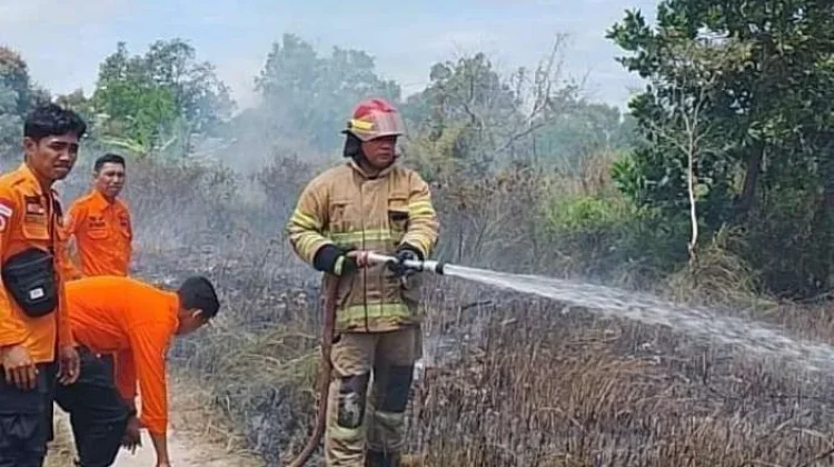 BPBD Pangkalpinang Petakan Titik Rawan Karhutla